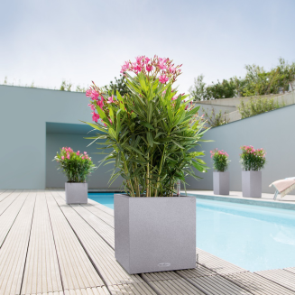  Lechuza Canto Stone planter 40 stone gray column - 8