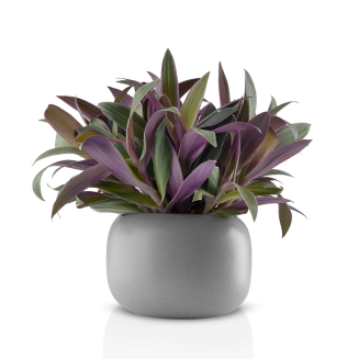  Eva Solo Grey Flowerpot Ø16 cm - 2