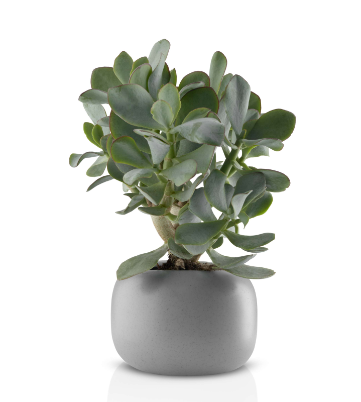  Eva Solo Grey Flowerpot Ø16 cm