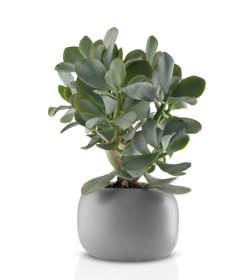  Eva Solo Grey Flowerpot Ø16 cm