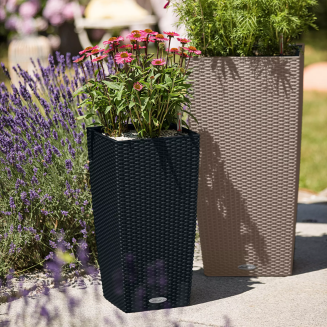  Lechuza Cubico Cottage 30 planter | 40 sand brown - 13