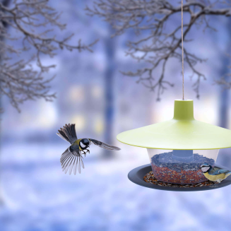 PLASTIA FINCH Karmnik dla ptaków 28.5x28.5 cm zielony - 3