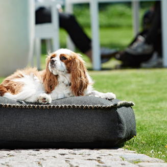 SACKit Dog bed Large Black dog bed - 2