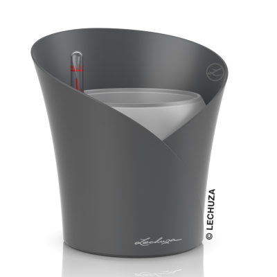  Lechuza Orchida Color orchid pot, gray