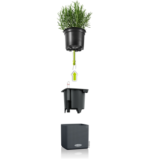 Lechuza Cube Color 14 herb pot | 16 gray slate - 2