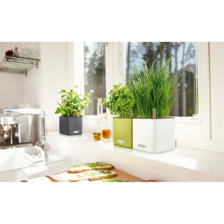  Lechuza Cube Color 14 herb pot | 16 gray slate - 9