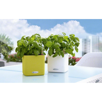  Lechuza Cube Color 14 herb pot | 16 gray slate - 7