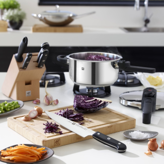  Set of 4 Zwilling Gourmet knives in a block - 8