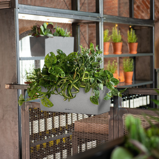  Lechuza Balconera Stone planter 50 | 80 stone gray - 8