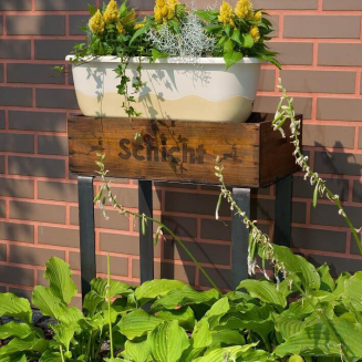 PLASTIA MARETA Donica samonawadniająca prostokątna 60x20 cm kremowy - 2