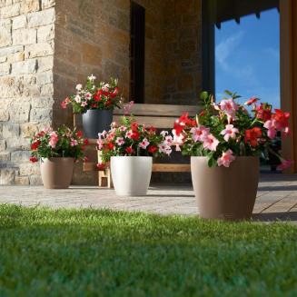  Lechuza Classico Color 18 flowerpot | 21 | 28 | 35 | 43 | 60 | 70 sand brown - 13