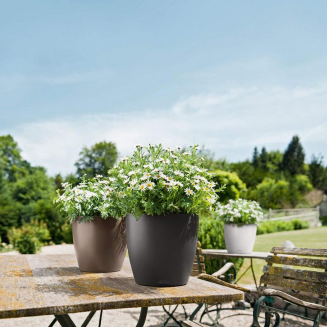  Lechuza Classico Color 18 flowerpot | 21 | 28 | 35 | 43 | 60 | 70 sand brown - 15