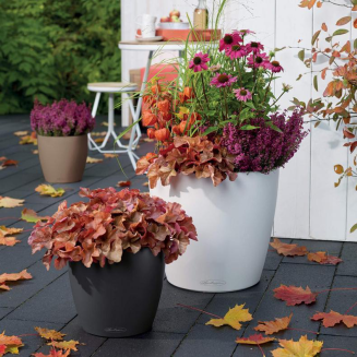  Lechuza Classico Color 18 flowerpot | 21 | 28 | 35 | 43 | 60 | 70 sand brown - 14