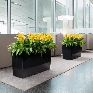  Lechuza Cararo Premium taupe gloss planter - 8