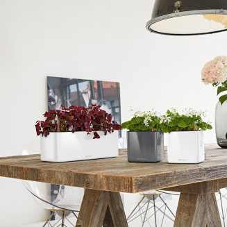  Lechuza Cube Glossy 14 herb pot | 16 red gloss - 6