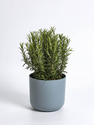 PLASTIA TOLITA Doniczka samonawadniająca okrągła z wkładem 16 cm szary