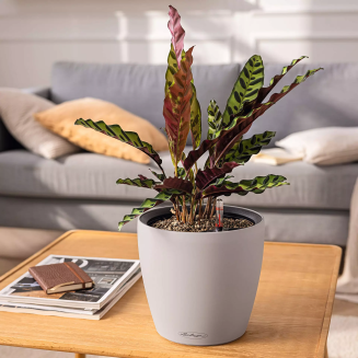  Lechuza Classico Color LS 21 flowerpot | 28 | 35 | 43 sand brown - 6