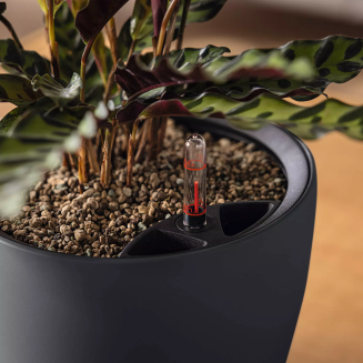  Lechuza Classico Color LS 21 flowerpot | 28 | 35 | 43 sand brown - 5