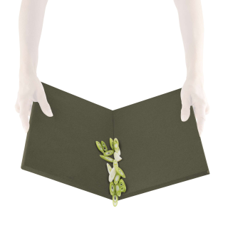  Eva Solo Green Tool 2in1 Cutting Board - 3