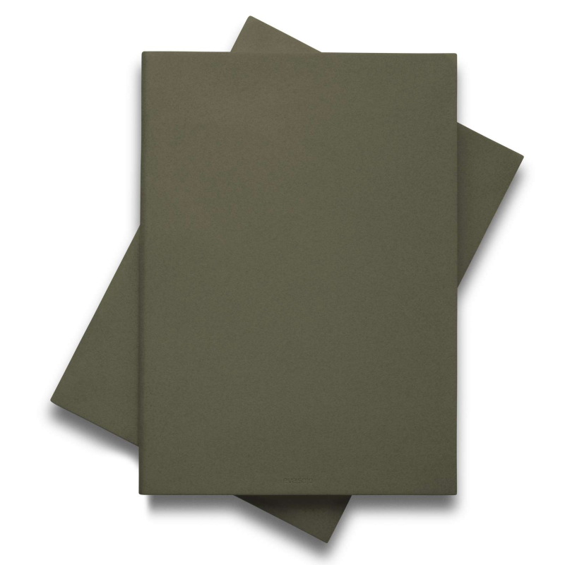  Eva Solo Green Tool 2in1 Cutting Board