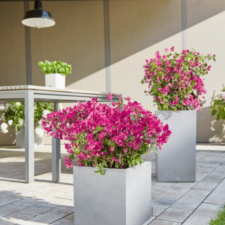  Lechuza Canto Stone 40 cube white quartz flowerpot - 11