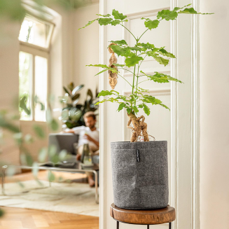  Lechuza Trendcover Filc 23 flowerpot, dark gray - 4