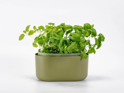 PLASTIA TOLITA Donica samonawadniająca prostokątna 31x16 cm zielony