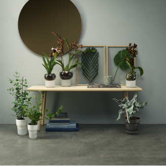 Eva Solo orchid pot 15 cm - 5