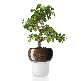 Eva Solo orchid pot 15 cm - 4