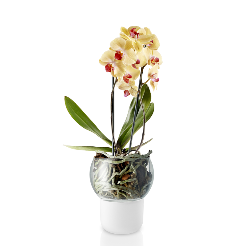 Eva Solo orchid pot 15 cm