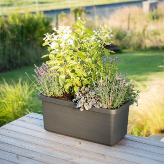 PLASTIA BERBERIS DUO Donica samonawadniająca 78x39 cm szary - 5