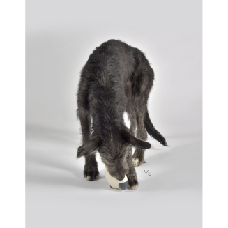 Zabawka gumowa United Pets owca Nora - 4