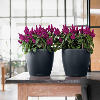  Lechuza Classico Color 18 flowerpot | 21 | 28 | 35 | 43 | 60 | 70 gray slate - 12