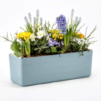 PLASTIA BERBERIS Donica samonawadniająca prostokątna 60x20 cm błękitny - 3