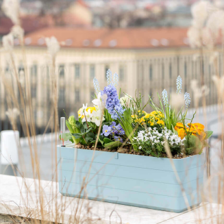 PLASTIA BERBERIS Donica samonawadniająca prostokątna 60x20 cm błękitny - 5