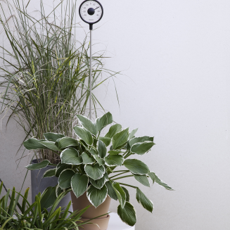  Eva Solo Outdoor standing thermometer - 4