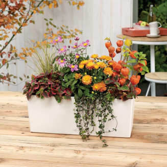  Lechuza Balconera Color 50 flowerpot | 80 white - 9