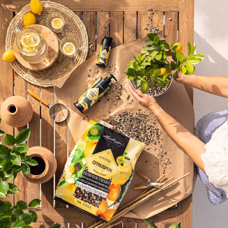 Lechuza Citruspon substrate 12l - 4