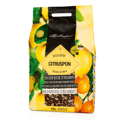 Lechuza Citruspon substrate 12l