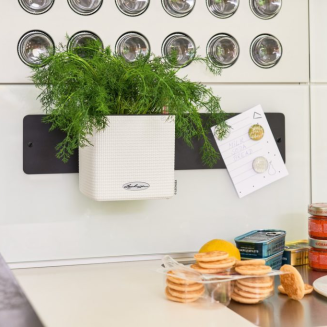  Lechuza Cube Color Home Kit wall flowerpot, white - 2