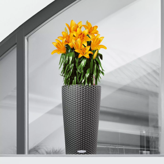  Lechuza flowerpot Cilindro Cottage 23 | 32 sand brown - 5