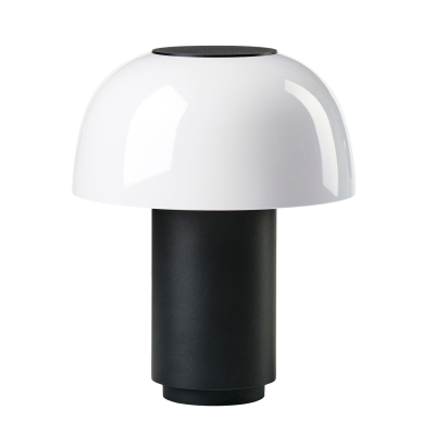  Zone Denmark Harvest Moon Ume Black Cordless Lamp