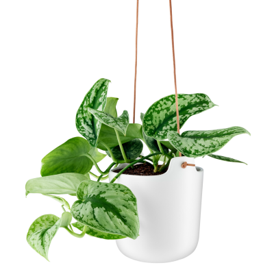  Eva Solo White Self-Watering Hanging Pot 15 cm
