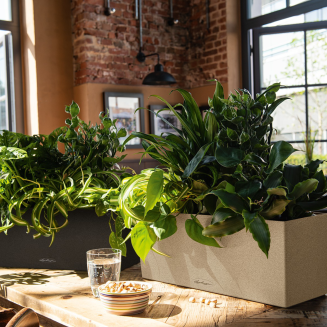  Lechuza Balconera Stone planter 50 | 80 graphite black - 8