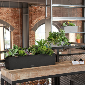  Lechuza Balconera Stone planter 50 | 80 graphite black - 7