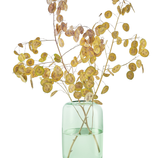  Eva Solo Acorn Mint green vase 22 cm - 3