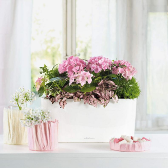  Lechuza plant pot Delta 10 | 20 red gloss - 6