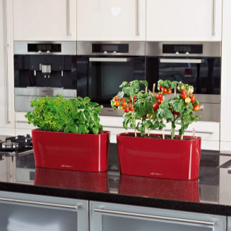  Lechuza plant pot Delta 10 | 20 red gloss - 7