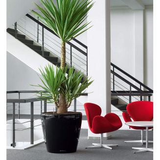  Lechuza Classico Premium 60 flowerpot | 70 anthracite metallic - 8