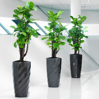 Lechuza Diamante Premium 40 flowerpot, black gloss - 2